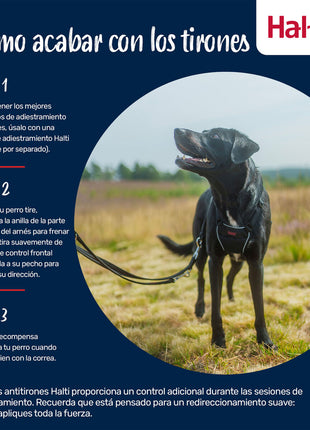 V4H601F33A48C8157AB8D1C1C12BDABF8B2R7523833P8