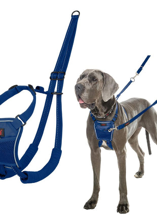 V4H196C1CE8BBC9A80B0817D267957D4BC7R7523814P1