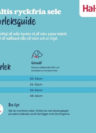 V4H52007B63400EBD0CC2DDED7B839C8582R7523818P5