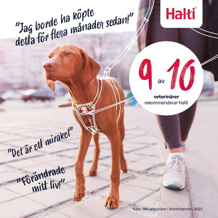 V4H268121F13CF476B1D01728D0AF59D4E7R7523526P6