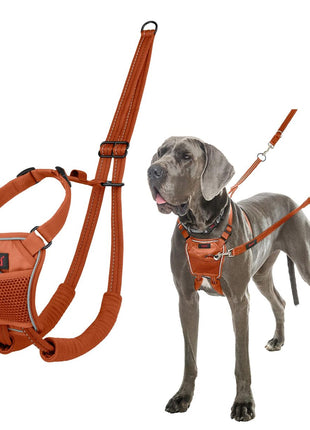 V4HC207523747980EAFA39208D42A3E1484R7523695P1