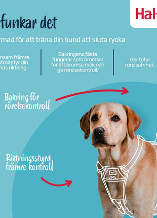 V4H85AA1193C1FF5D663FAC4D9CFB75632ER7523702P8