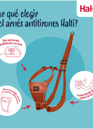 V4H88B488D51657F57F67D32A95383A6A9DR7523701P7