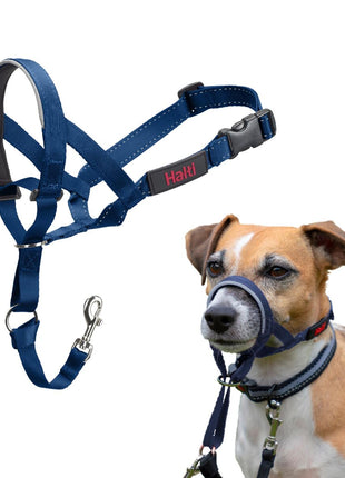 V4H271AB368035A32E83281BAE90B1BB9AFR7523945P1