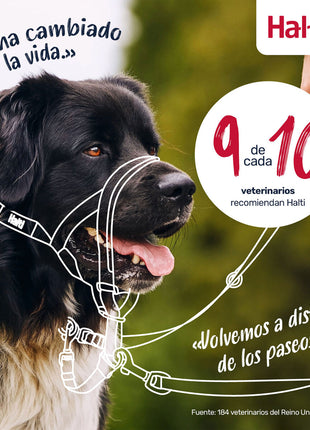 V4H60D88671C70548447B0A808206F460CBR7523949P5