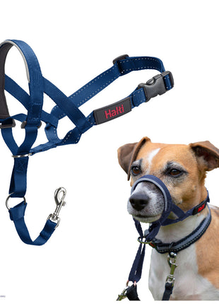 V4H2FD0499D3F1253CEF19453255B2F2E84R7523950P6