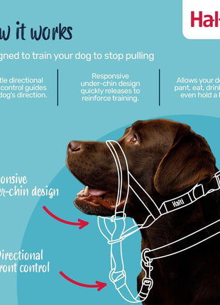 V4H8F6825A06272A18914F6100E32E305BAR7523940P8