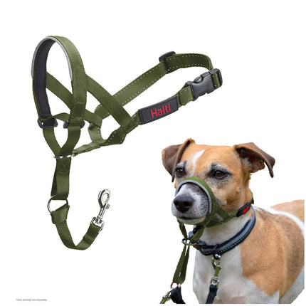 V4HFAEA17B3237EC4975450A7998107B44BR7523854P6