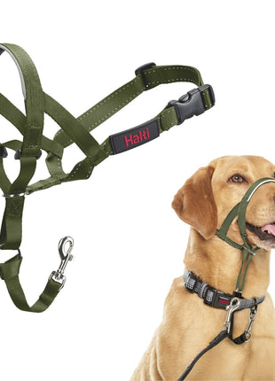 V4HFF291261DD7860951CCDF3DEADF3AE01R7523879P1