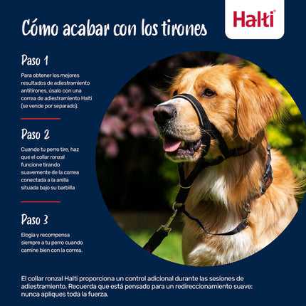 V4H39E5AA3969461A7EFAE154091D8D7B61R7523881P8