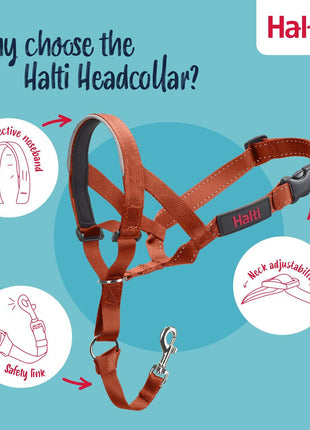 V4H41B6FC100ADFB911FD541E4BCFC3E357R7523569P3