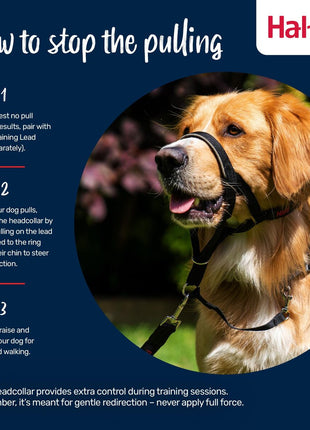 V4H5748D4320F42AAFD5D9515D70DA7EB41R7523570P4