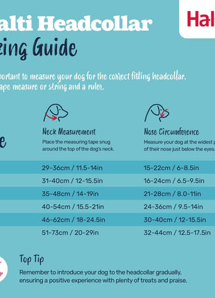 V4H7BBB35B0CEC616FB022B538064F0B354R7523571P5