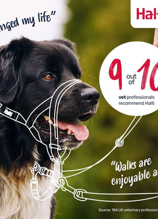 V4H65A4B83C6BB39A65D02045A37414B0D1R7523572P6