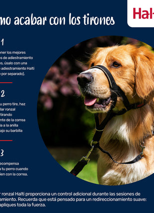 V4H637F20CC5E85BF95194E9043174AD968R7523574P8