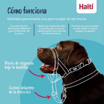 V4H870AC9D1E9D5AA3944835B2BC3F4D98FR7523575P9