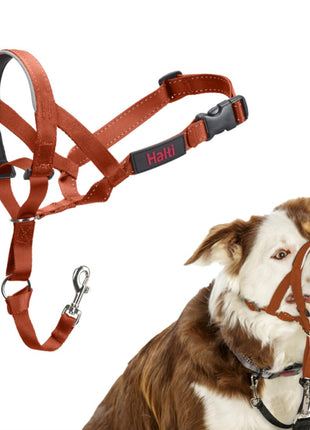 V4HD96B27D93DB57805200B313B7C28B9FBR7523861P1