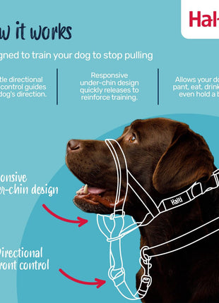 V4H4F5086D6434DEEA8B9328A6232187A58R7523862P2