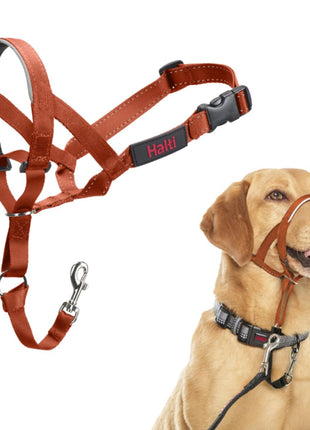 V4H929859D7ABB7D4F96616C8D65229C9B3R7523544P1