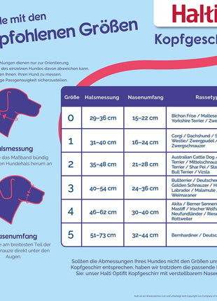 V4HBE1949A9FCA171BA3BA6992B3D1AE177R7523546P3