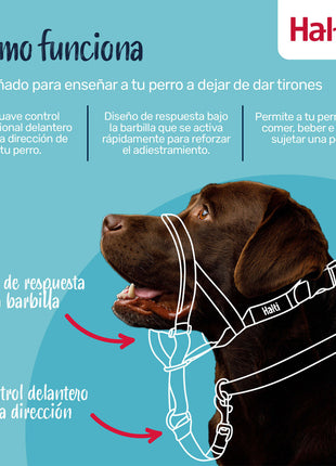 V4H7FB504A8EDF6BE7BD3813C84FDCD78A0R7523549P6