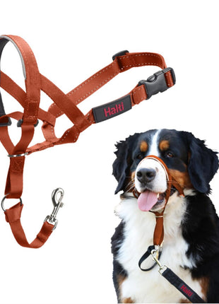 V4H79397D009A4CF24E1E40E84B71958F7ER7523838P1