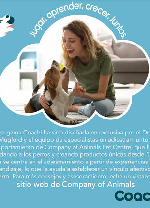 V8H9D738FF89521D3A57A3D0B6FBA913FCER3709005P6