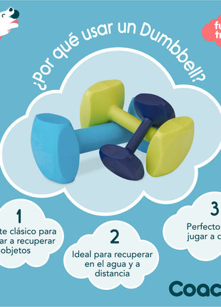 V8H515B253EE3C1FDC422A7386DE45833D7R3709242P2