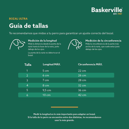 V4H1FC23208BB6219284408247D656B5D44R5327519P5