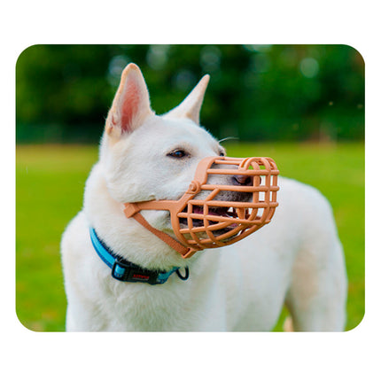 V4H34C1E1998958373A2181D283D4EE3CF3R5327586P3