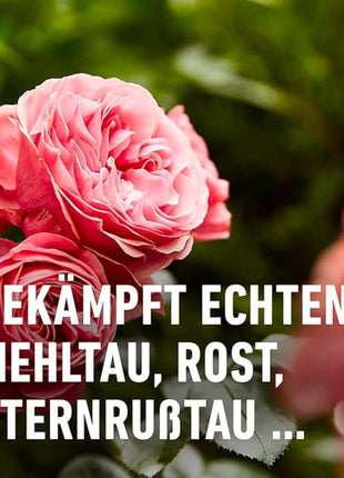 COMPO Duaxo® Rosen Pilz-frei AF Fungizid-Spray