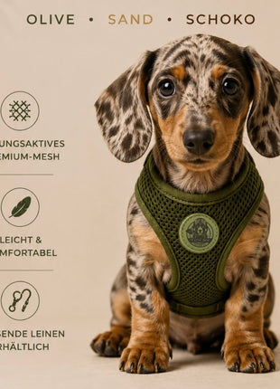 Hundegeschirr FORM – Premium