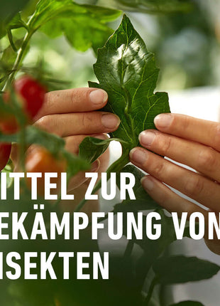 COMPO Insekten-frei Neem gegen Saugende, Beißende & blattminierende Insekten