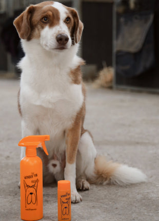 Wonder Fur – Fellspray Starter-Set