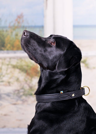 Hundehalsband CLASSIC Light