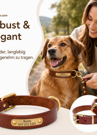 Leder Hundehalsband mit goldfarbener Marke, Gravur Name und Telefon