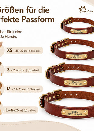 Leder Hundehalsband mit goldfarbener Marke, Gravur Name und Telefon