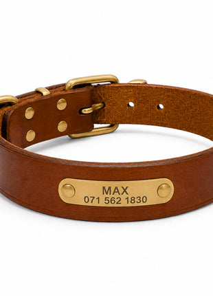 Leder Hundehalsband mit goldfarbener Marke, Gravur Name und Telefon