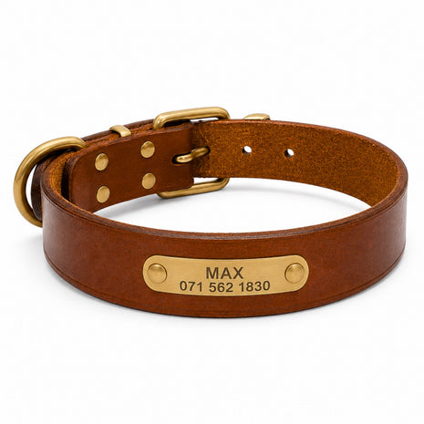 Leather dog collar with gold-colored tag, engraved name and phone number