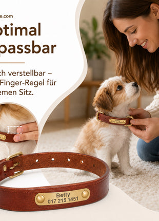 Leder Hundehalsband mit goldfarbener Marke, Gravur Name und Telefon