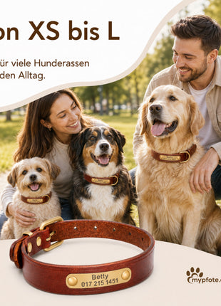 Leder Hundehalsband mit goldfarbener Marke, Gravur Name und Telefon