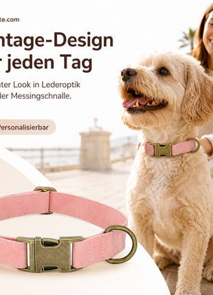 Edles Hundehalsband im Vintagelook mit Messingschnalle und kostenloser Gravur Name und Telefon
