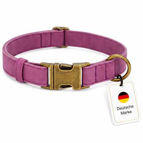 Elegant vintage-style dog collar with brass buckle and free engraving of name and phone number.