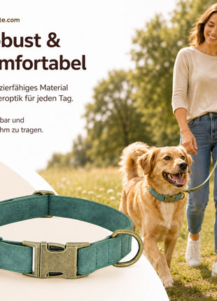 Edles Hundehalsband im Vintagelook mit Messingschnalle und kostenloser Gravur Name und Telefon