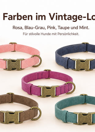 Edles Hundehalsband im Vintagelook mit Messingschnalle und kostenloser Gravur Name und Telefon