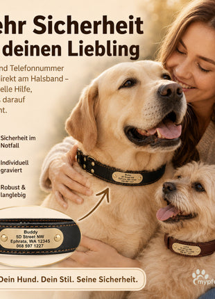 Edles Hundehalsband aus Rindsleder mit Gravur Name und Telefon