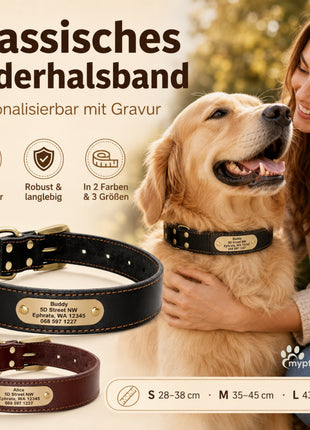 Edles Hundehalsband aus Rindsleder mit Gravur Name und Telefon