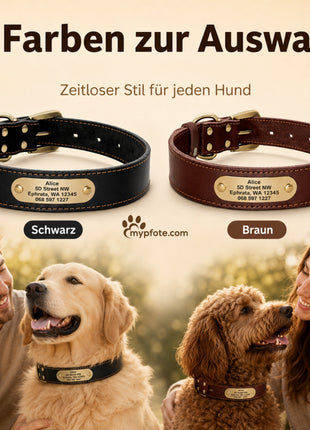 Edles Hundehalsband aus Rindsleder mit Gravur Name und Telefon
