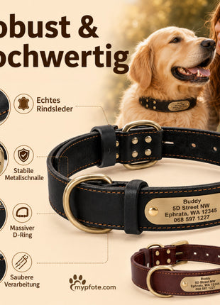 Edles Hundehalsband aus Rindsleder mit Gravur Name und Telefon