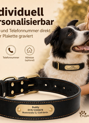 Edles Hundehalsband aus Rindsleder mit Gravur Name und Telefon